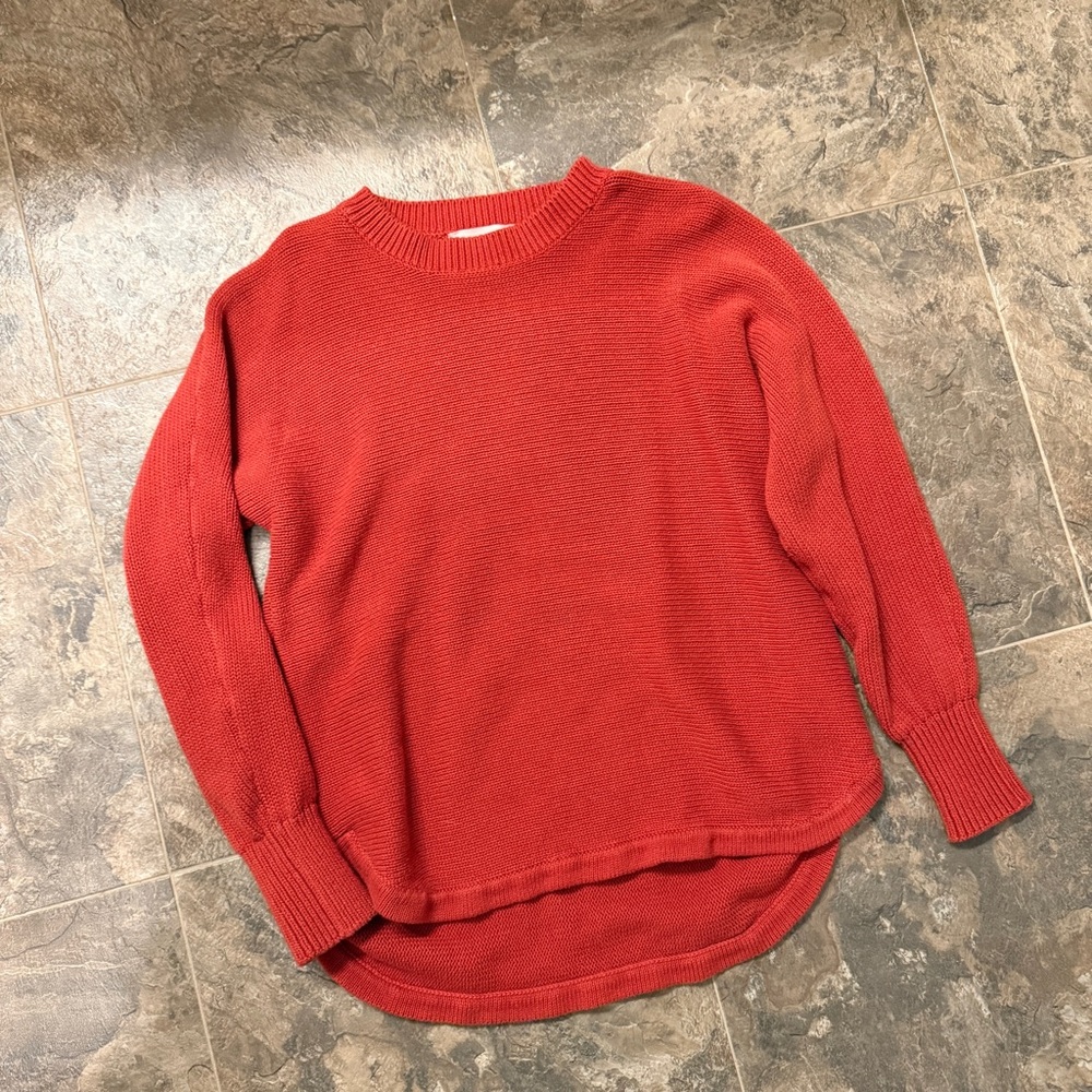 Philosophy Sweater